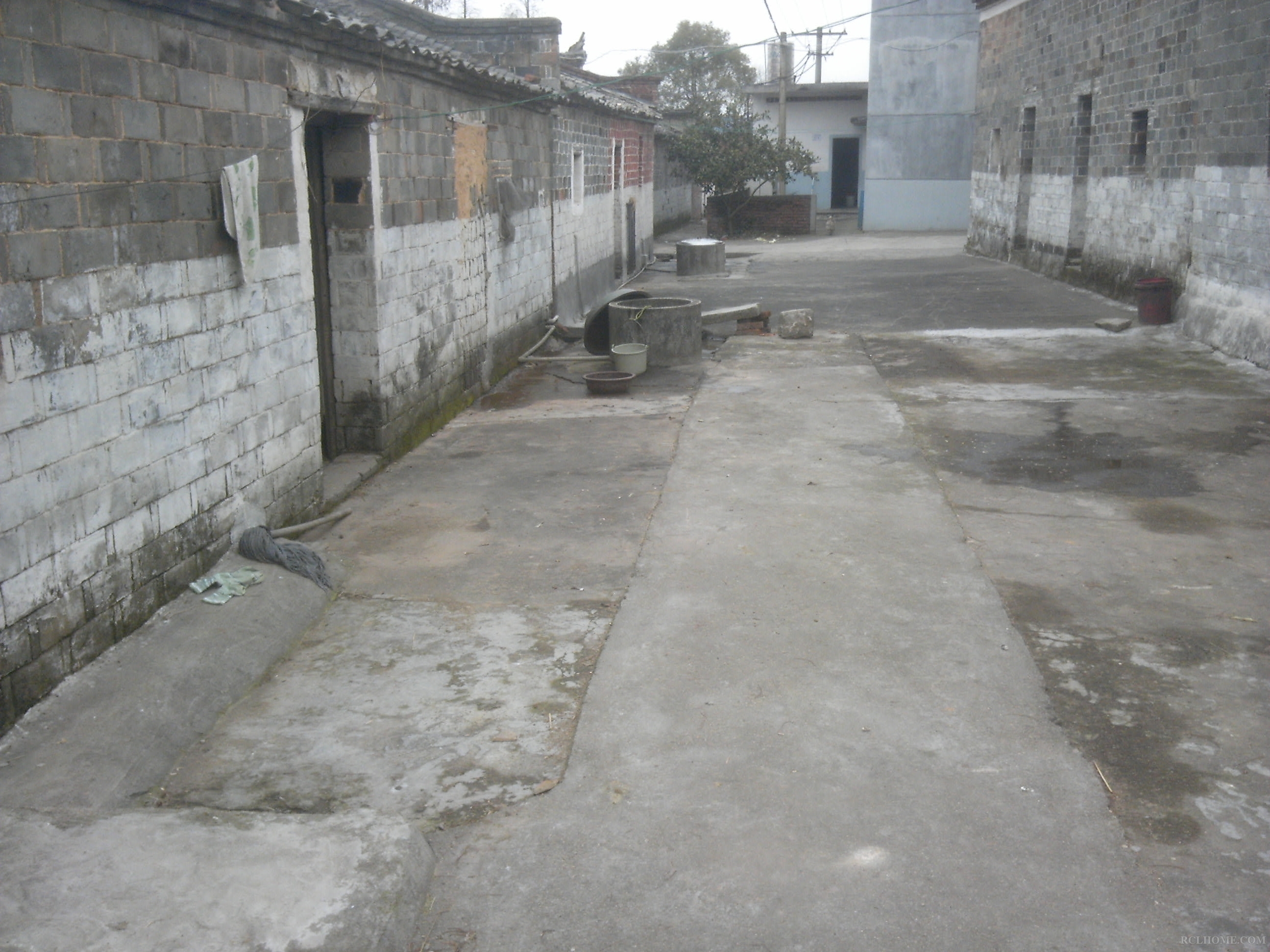 IMG_20130102_124232.jpg