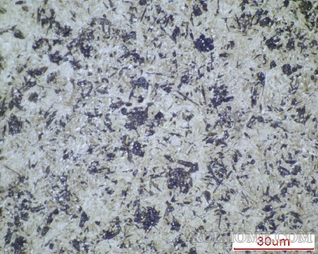 3号炉314闭1000倍.jpg