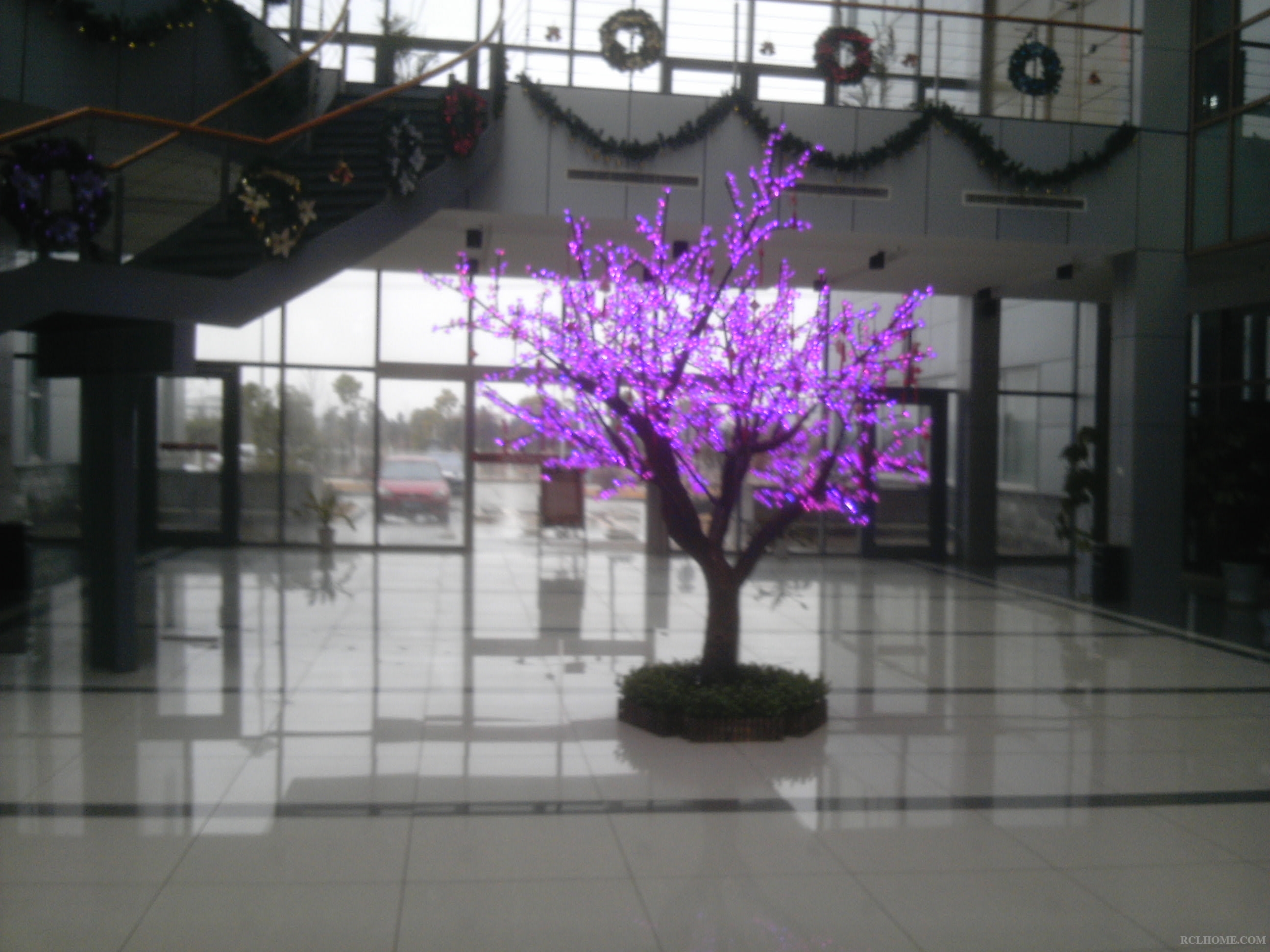 IMG_20130207_114945.jpg