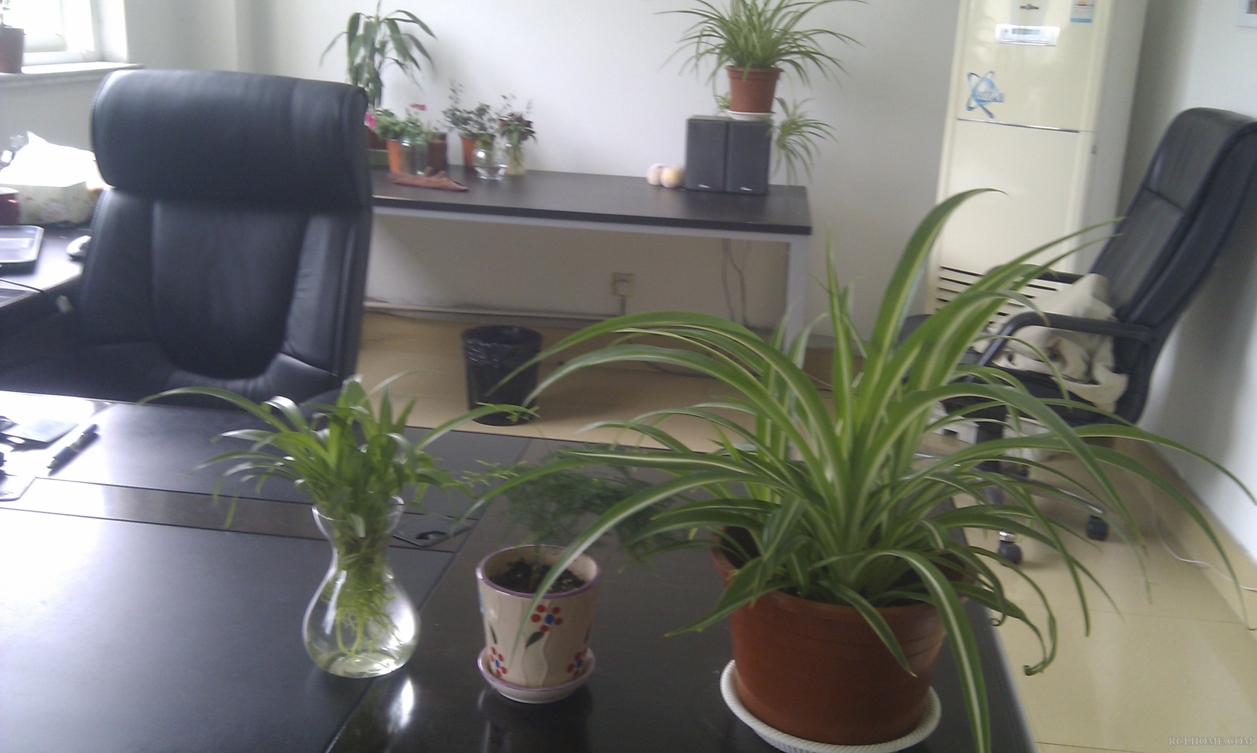 IMAG0244.jpg