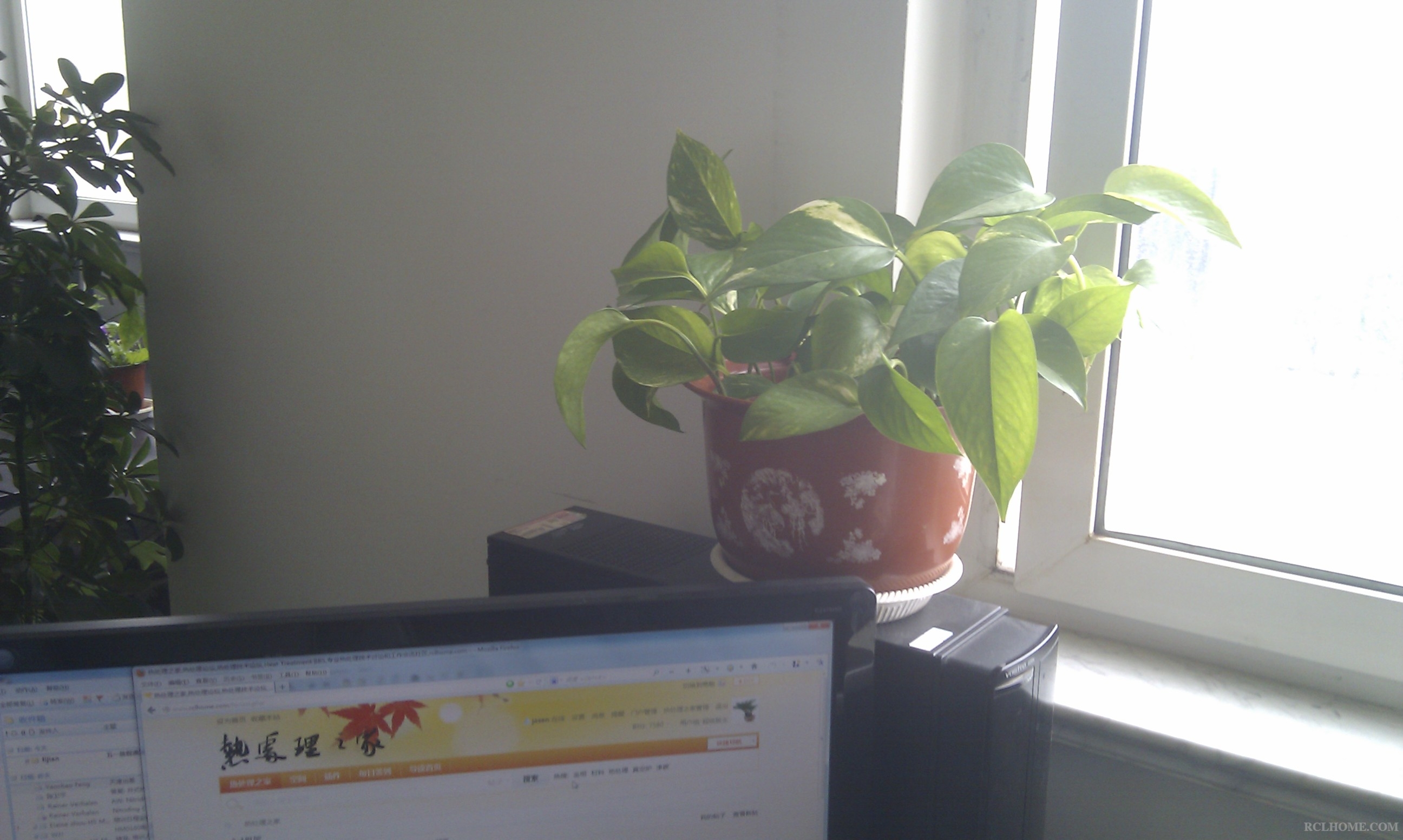 IMAG0241.jpg