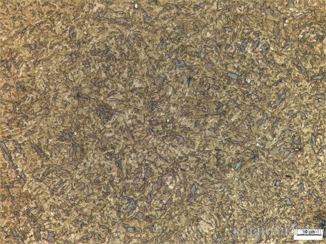 1000x-2.jpg