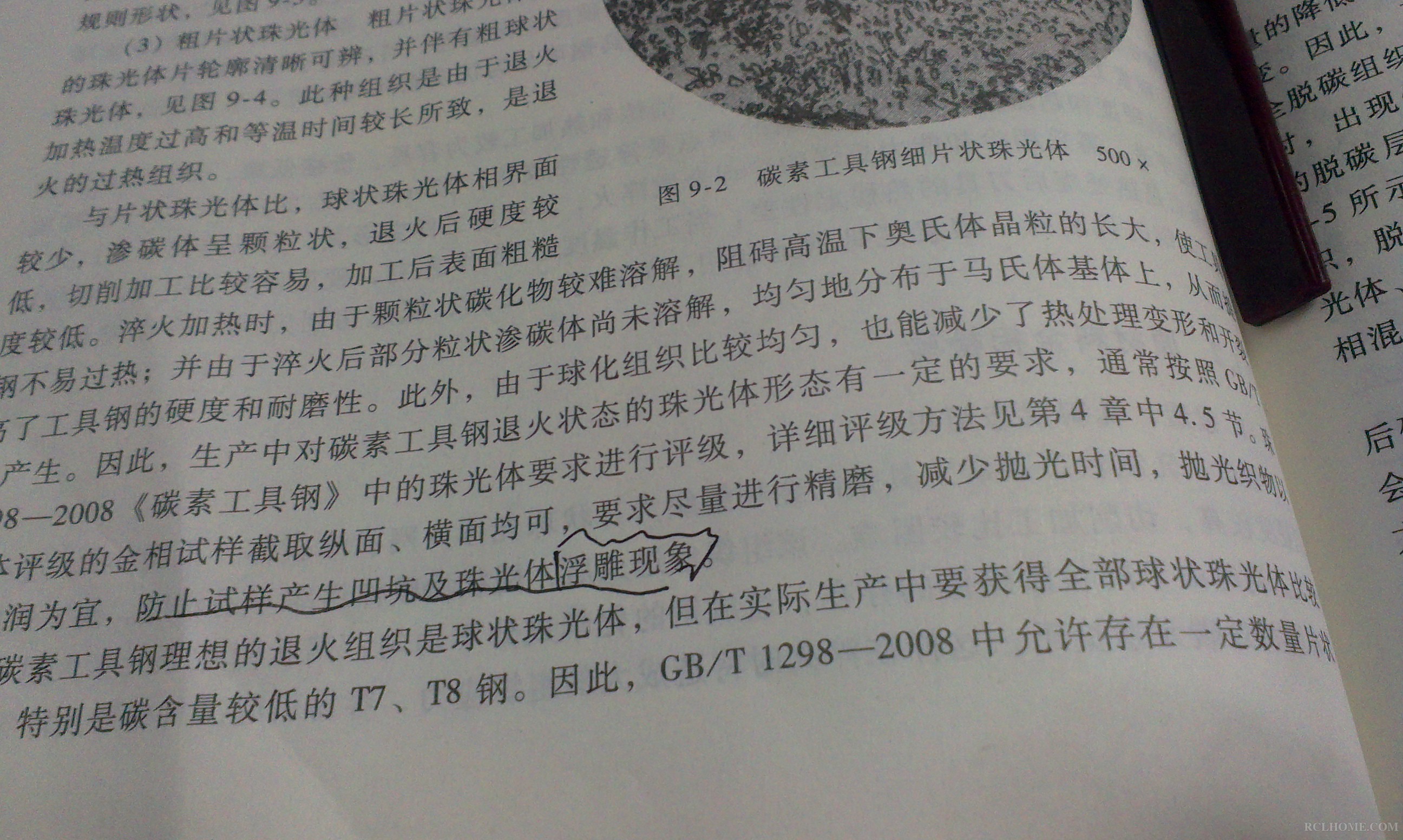 IMAG0189.jpg
