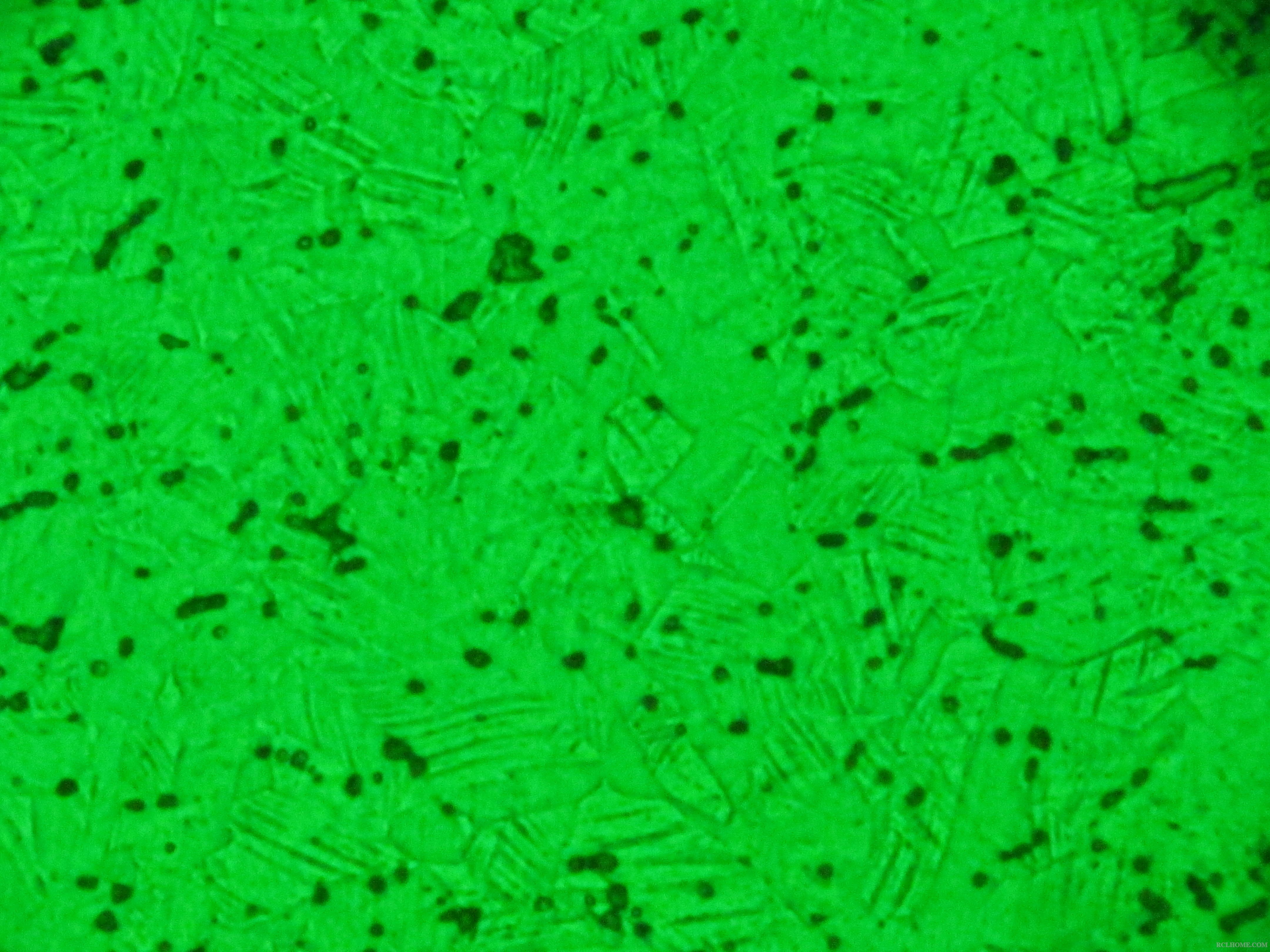 500X