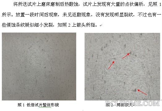 白点低倍.jpg