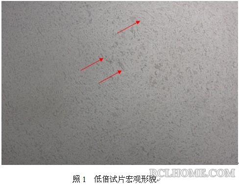 白点低倍.jpg