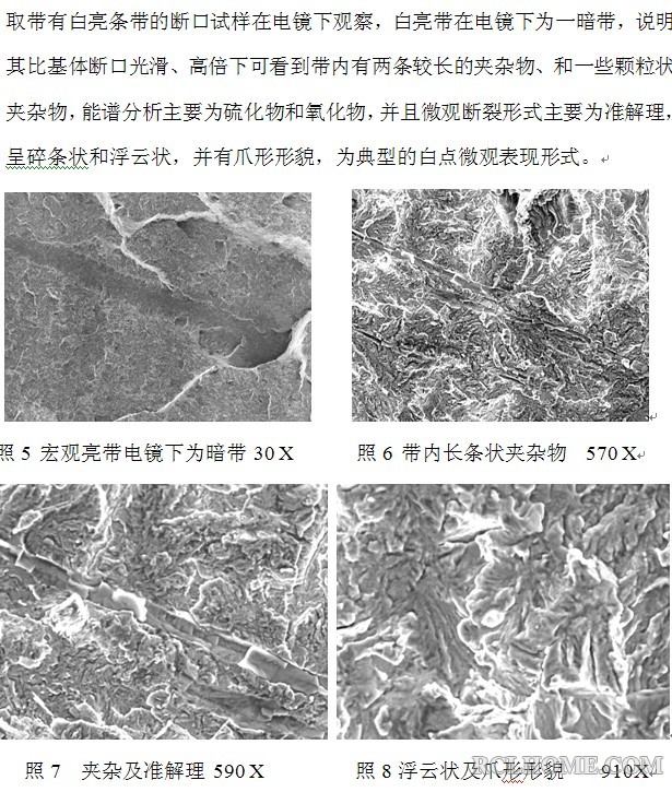 白点电镜.jpg
