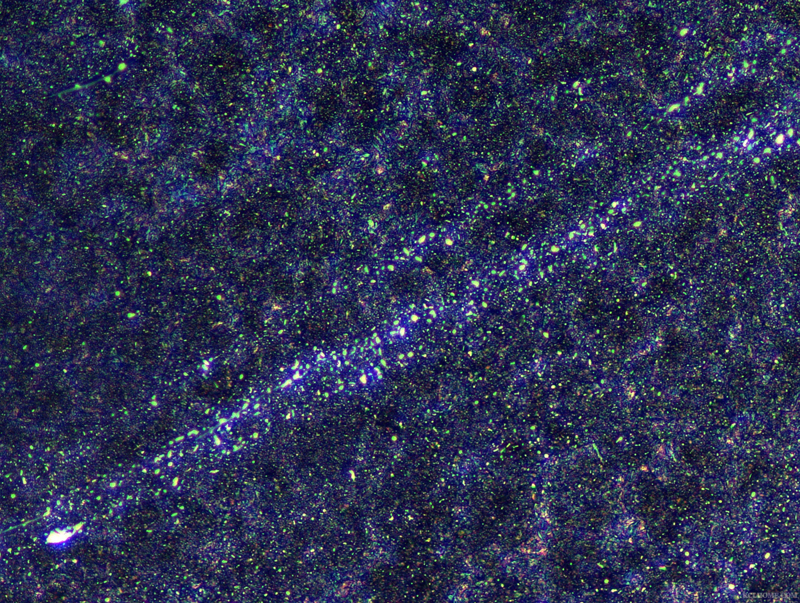 SNAP-103731-0008.jpg