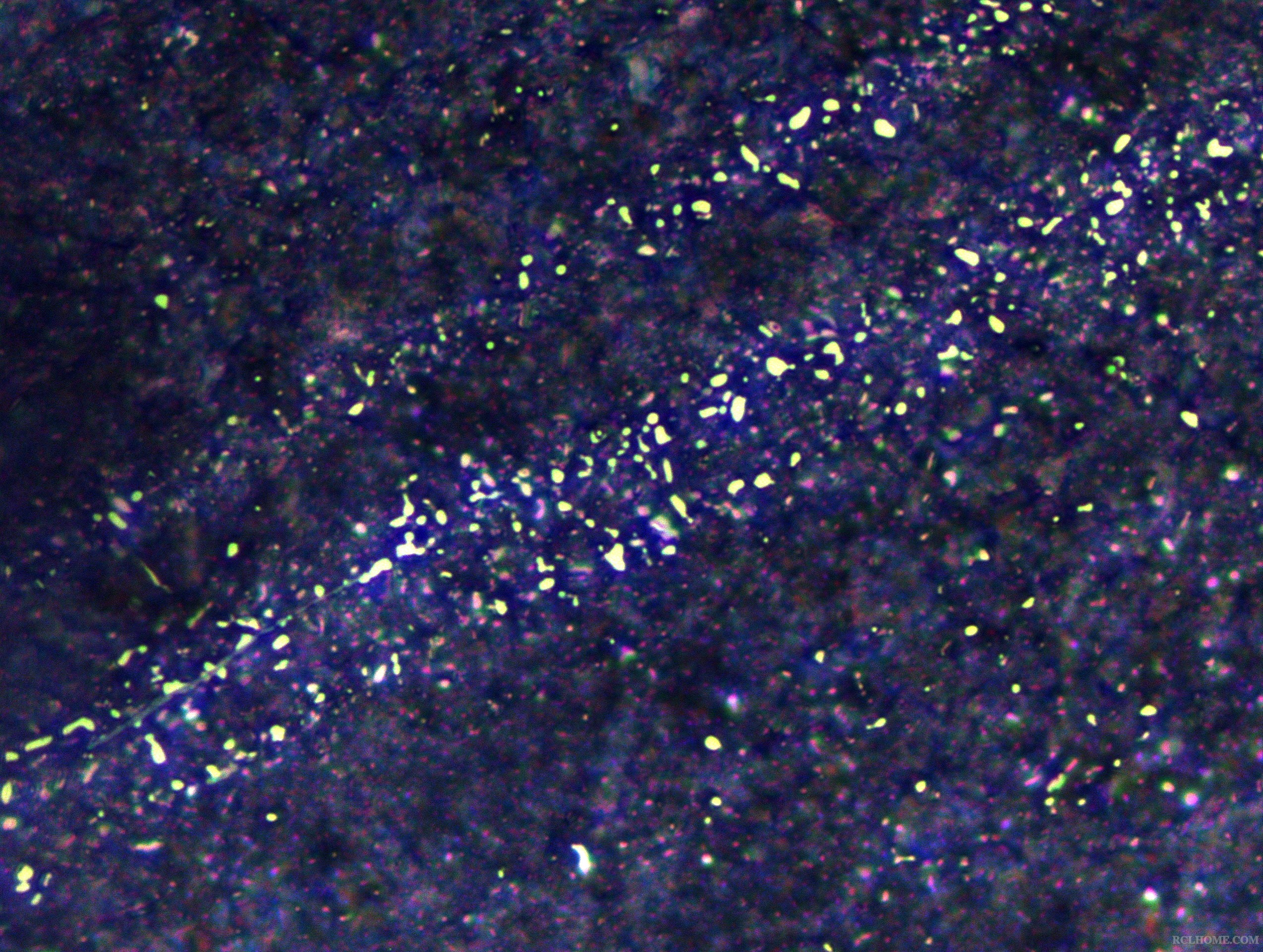 SNAP-103826-0009.jpg