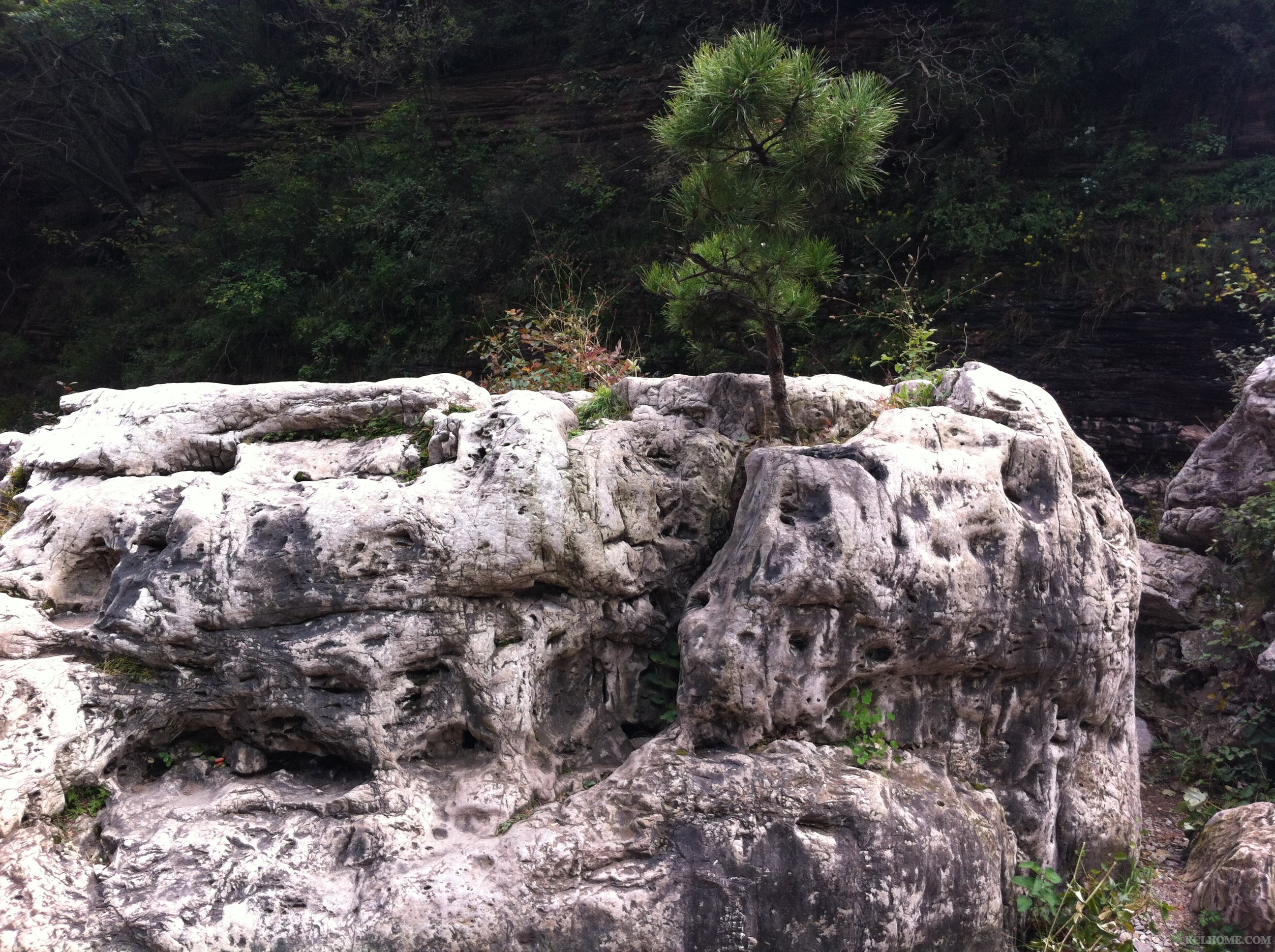 关山风光208（顽强）.jpg