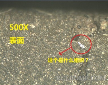 表面500倍