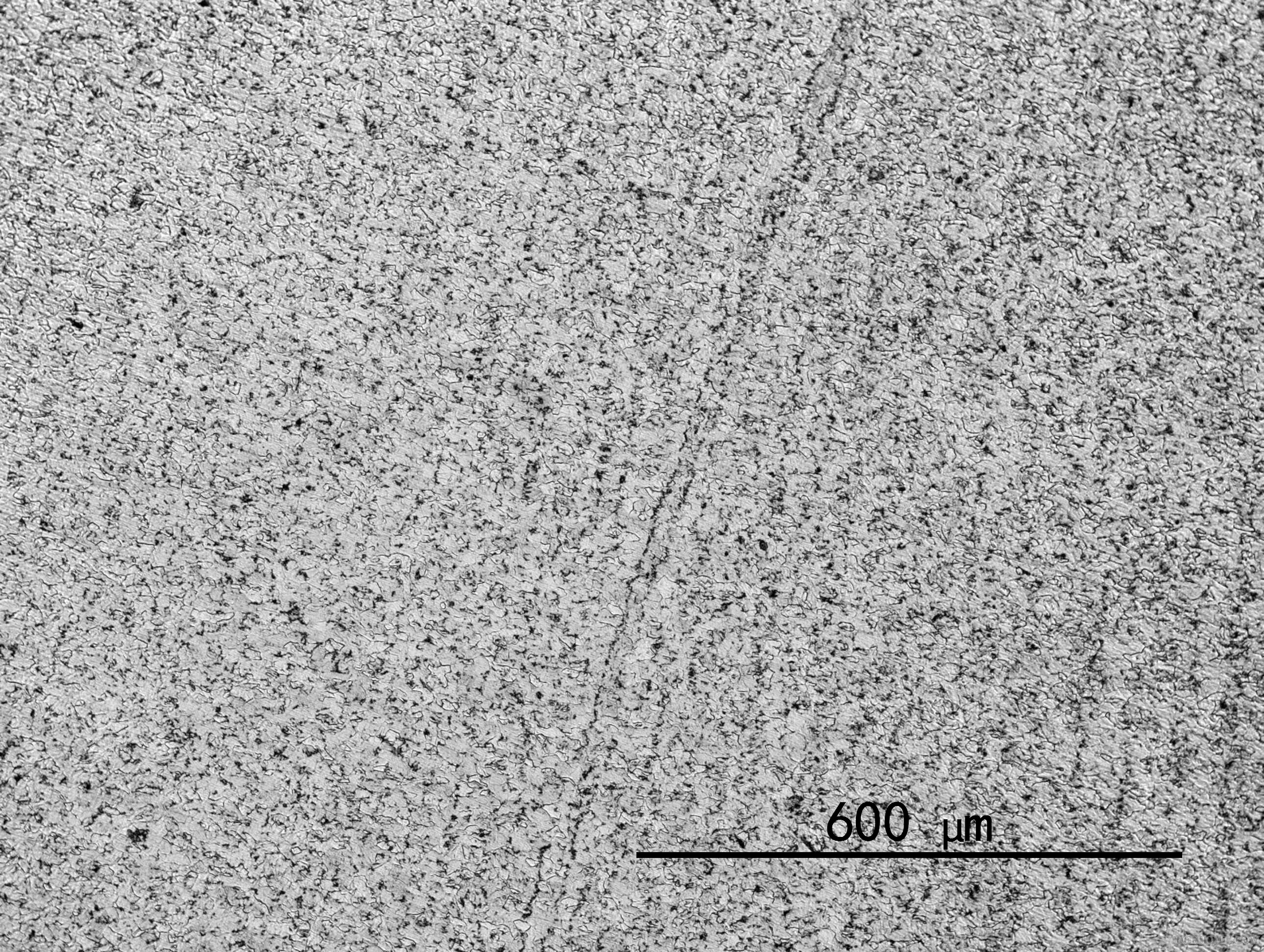 image_150813_001_ovl.JPG