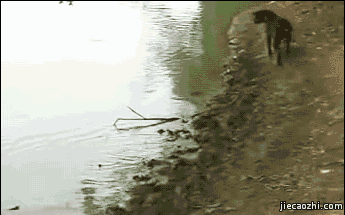 QQ图片20151126111744.gif
