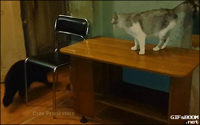 62225483gw1eyc41iw7b6g20b406yx6p.gif