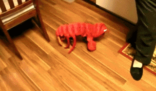 longxia.gif
