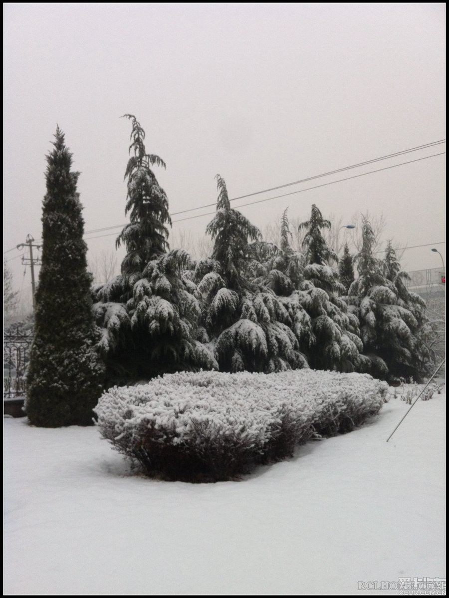 青松傲雪——萧萧烟雨九原上， 白杨青松葬者谁？.jpg