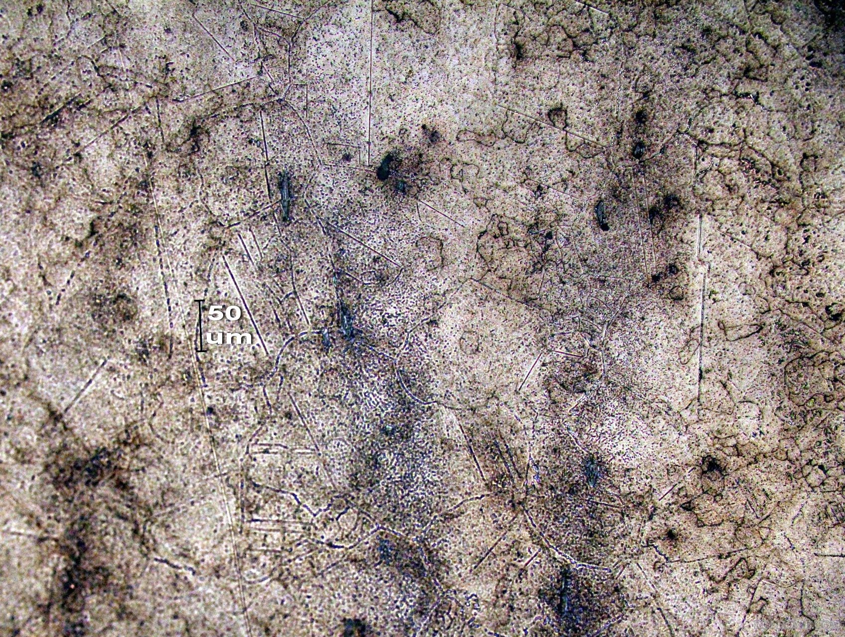 02 aIMG_8354.jpg