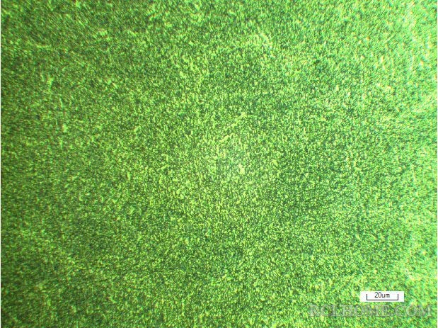 X46Cr13球化退火态良好组织