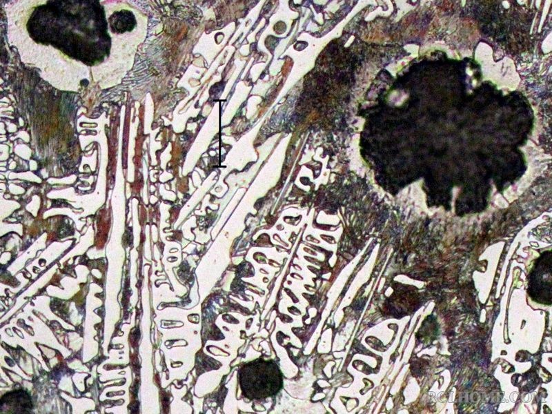 aIMG_6355.jpg