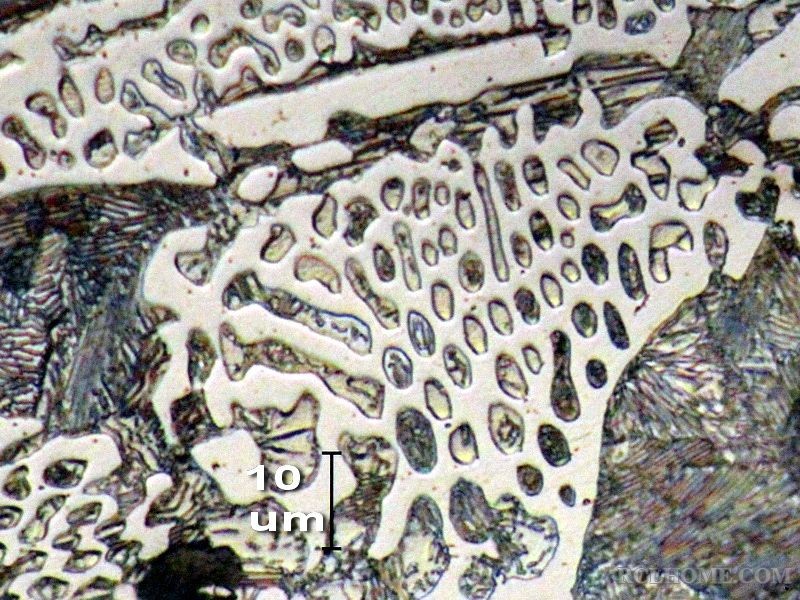 aIMG_6363.jpg
