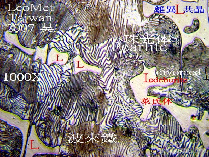 Ledeburite 1k_1.jpg