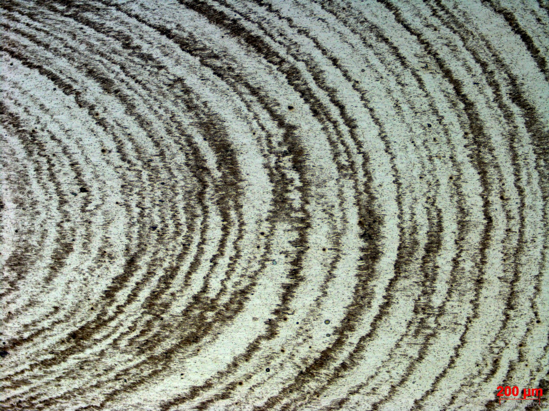 SNAP-165619-0012.jpg