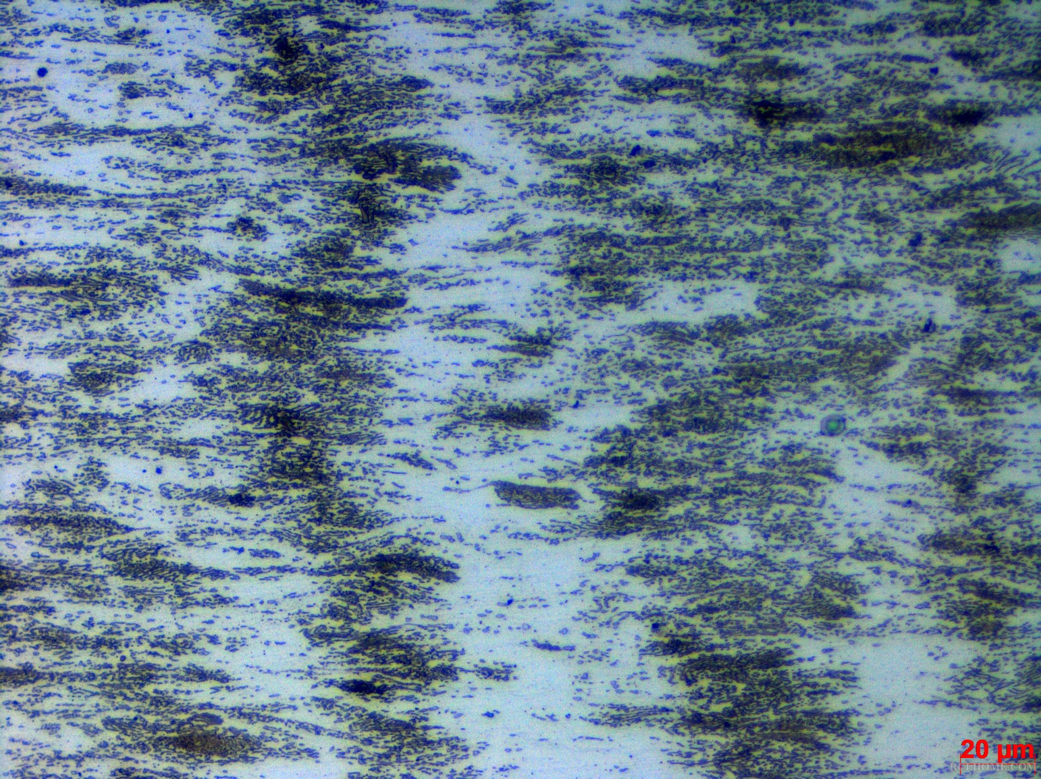 SNAP-165913-0014.jpg