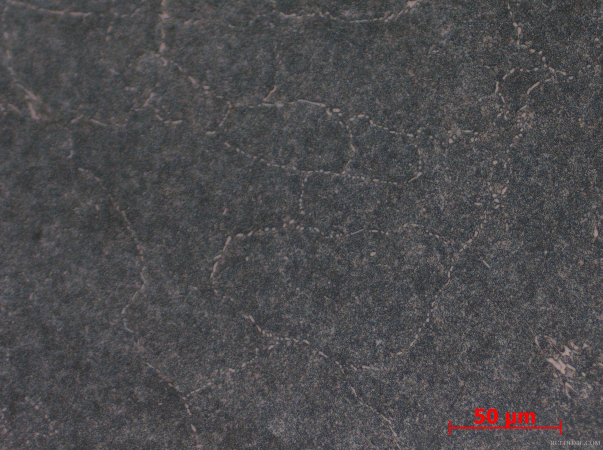 126 500X 网状3.5-3.jpg