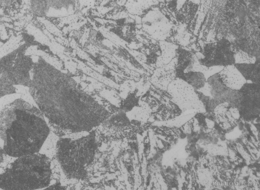 1毛坯坯料500X.jpg