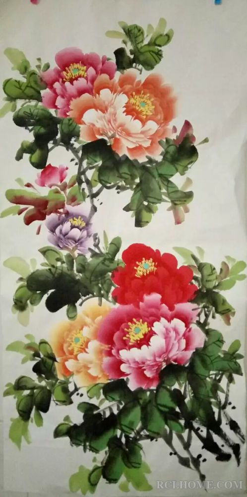 牡丹6