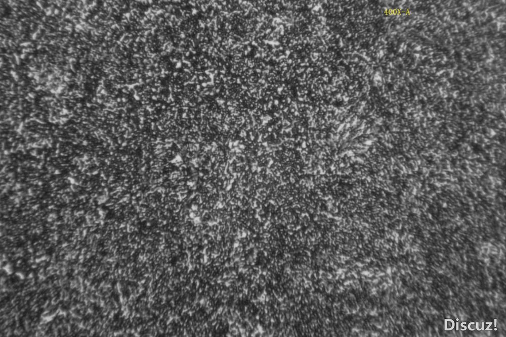 400X-2.jpg