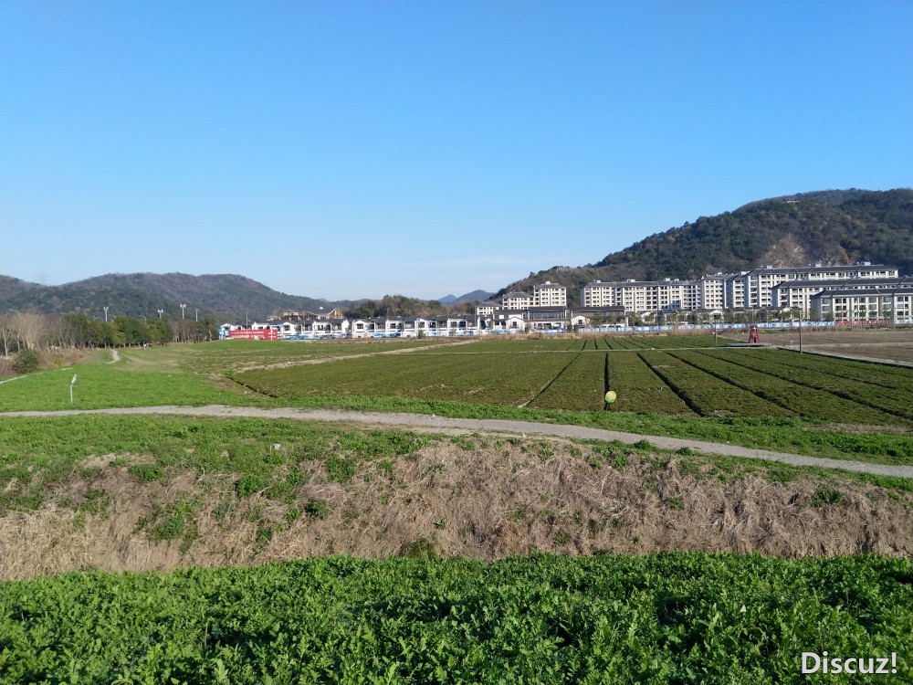 IMG_20210221_081711.jpg